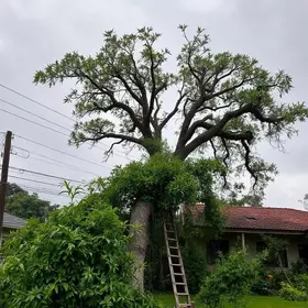 temporal em Campo Grande
