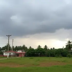 vendaval em Campo Grande