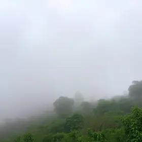 nevoeiro e frio em MS