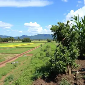 venda do Consórcio Guaicurus