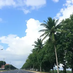 previsão do tempo em Campo Grande (MS)