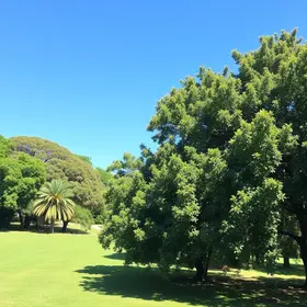 o que fazer no fim de semana em Campo Grande