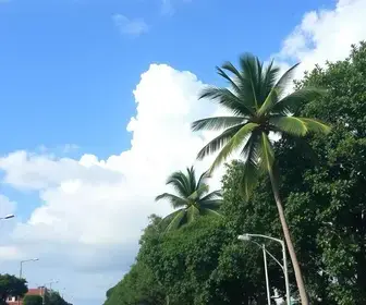 previsão do tempo em Campo Grande