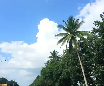 previsão do tempo em Campo Grande